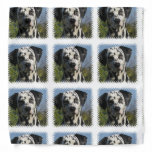 Dalmatian Bandana