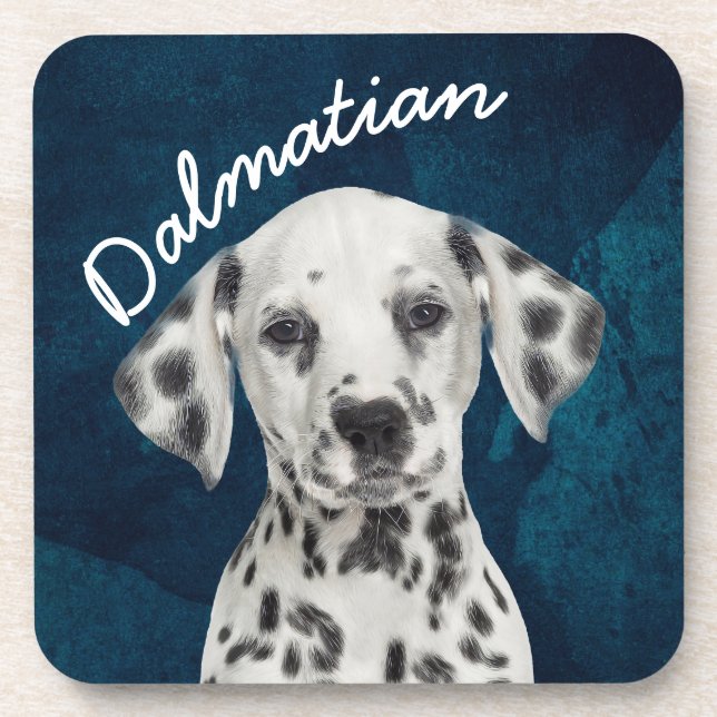 Dalmatian  beverage coaster (Front)
