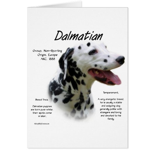 Dalmatian (blk) History Design Cards (Front)