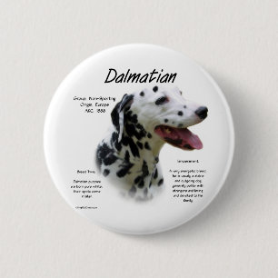 Dalmatian (blk) History Design Pinback Button