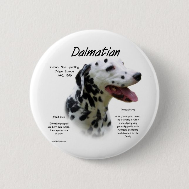 Dalmatian (blk) History Design Pinback Button (Front)