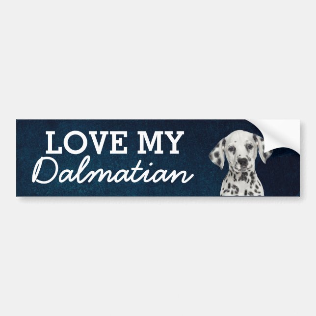 Dalmatian bumper sticker (Front)