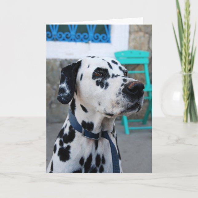Dalmatian Card (Front)
