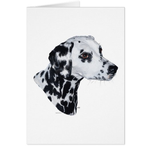 Dalmatian Cards (Front)