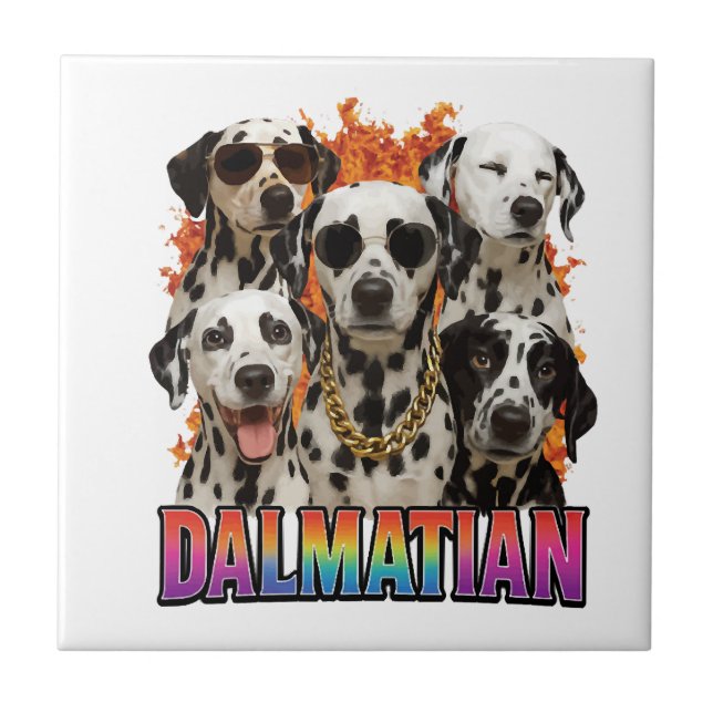 Dalmatian Ceramic Tile (Front)