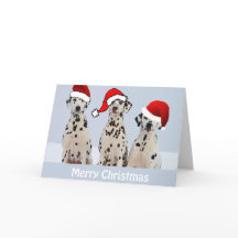 Dalmatian Christmas Card
