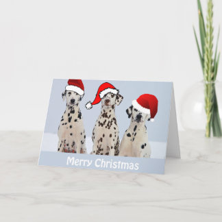 Dalmatian Christmas Card