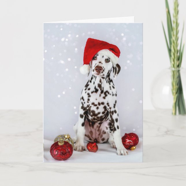 Dalmatian Christmas Card (Front)