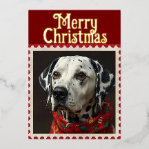 Dalmatian christmas