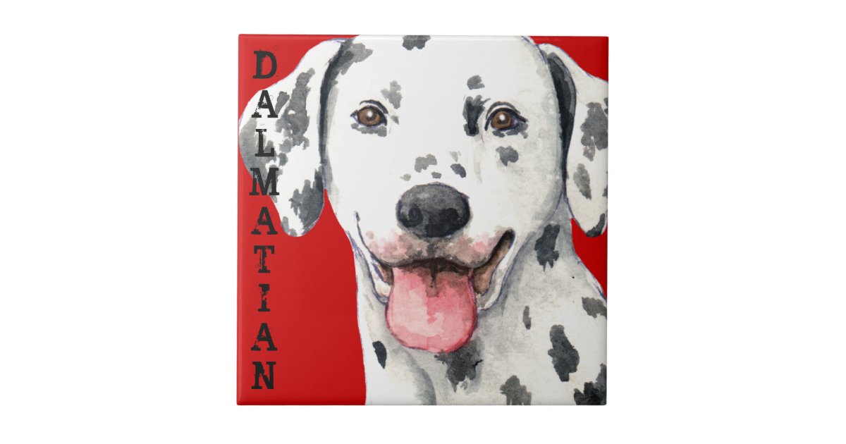 Dalmatian Color Block Ceramic Tile Zazzle