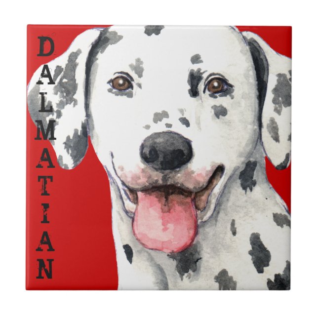 Dalmatian Color Block Ceramic Tile (Front)