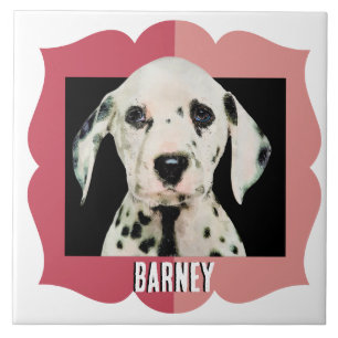 Dalmatian customized pattern photo frame ceramic tile