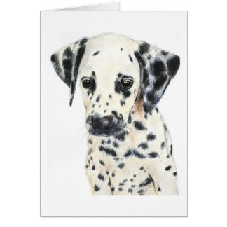 Dalmatian Dog Art Cards