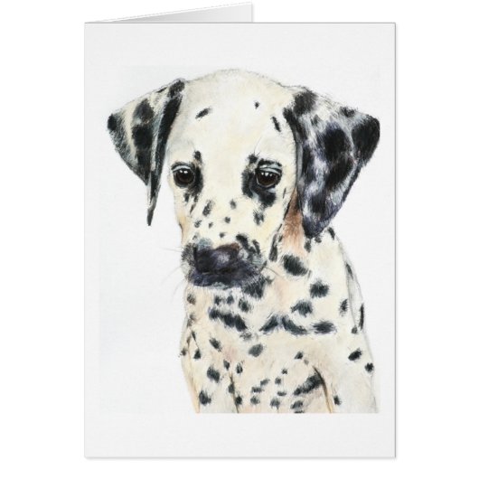 Dalmatian Dog Art Cards (Front)