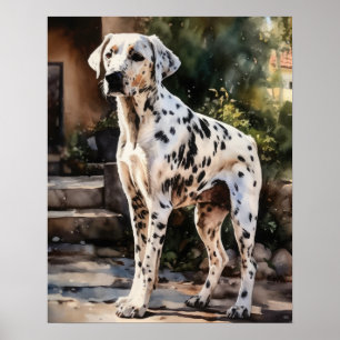 Dalmatian Dog Art Print Poster 