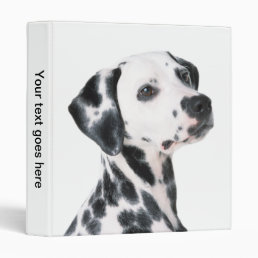 Dalmatian dog beautiful photo album, gift binder