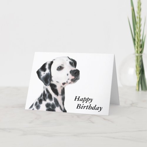 Dalmatian dog beautiful photo custom birthday card