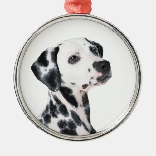 Dalmatian dog beautiful photo gift metal ornament