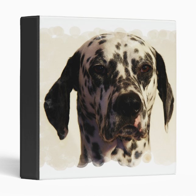 Dalmatian Dog Binder (Front/Spine)
