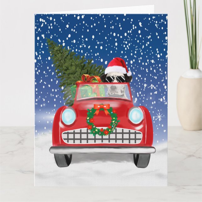 Dalmatian Dog Driving Car In Snow Christmas Card (Front)
