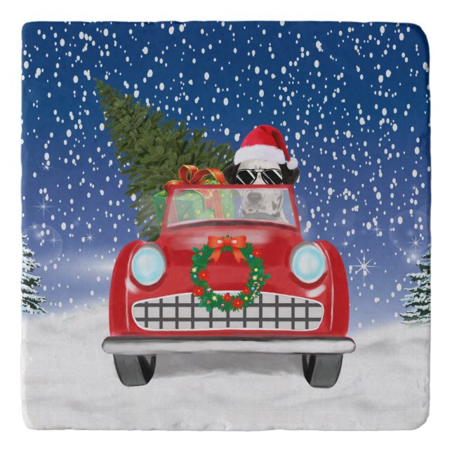 Dalmatian Dog Driving Car In Snow Christmas  Trivet (Front)