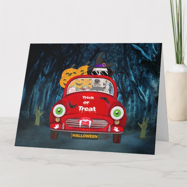 Dalmatian Dog Driving Car Scary Halloween Card (Front)