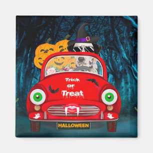 Dalmatian Dog Driving Car Scary Halloween  Magnet