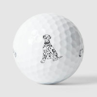 Dalmatian dog