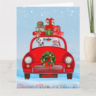 Dalmatian Dog In Car With Santa Claus Card