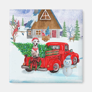 Dalmatian Dog In Christmas Delivery Truck Snow Magnet