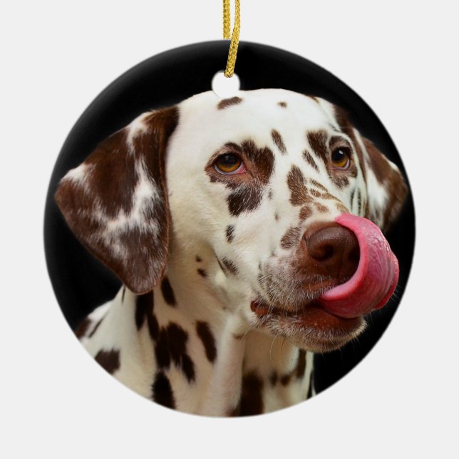 Dalmatian Dog Licking Ceramic Ornament (Front)