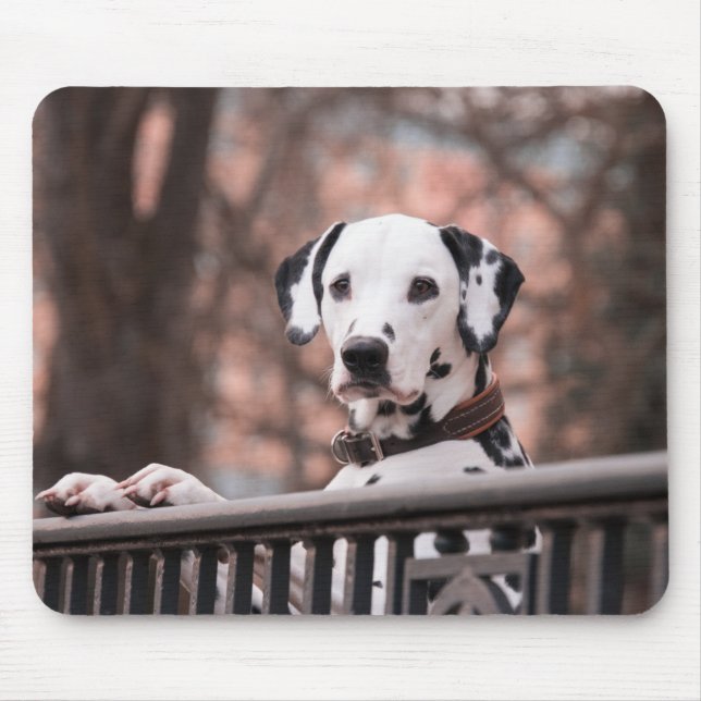 Dalmatian Dog Mouse Pad (Front)