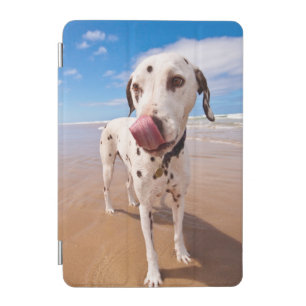 Dalmatian Dog On Beach iPad Mini Cover