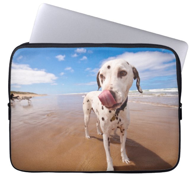 Dalmatian Dog On Beach Laptop Sleeve (Front)