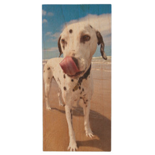 Dalmatian Dog On Beach Wood Flash Drive