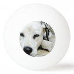 Dalmatian Dog Ping-Pong Ball