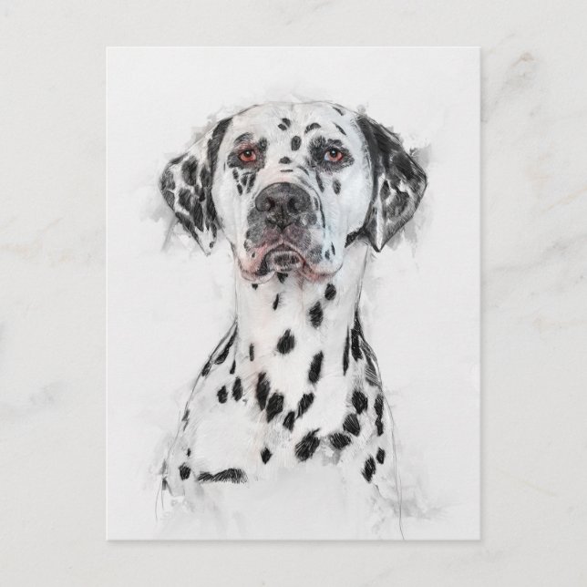 Dalmatian Dog Portrait Postcard (Front)