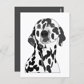 Dalmatian Dog 