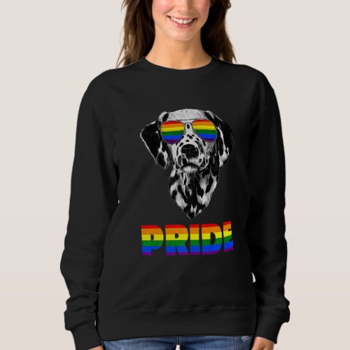 Dalmatian Dog Rainbow Flag Sunglasses Gay Pride Lg Sweatshirt