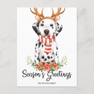 Dalmatian Dog Season's Greetings Christmas Holiday Postcard