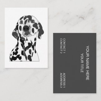 Dalmatian Dog Veterinarian Pet Care