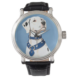 Dalmatian Dog With Blue Collar Watch