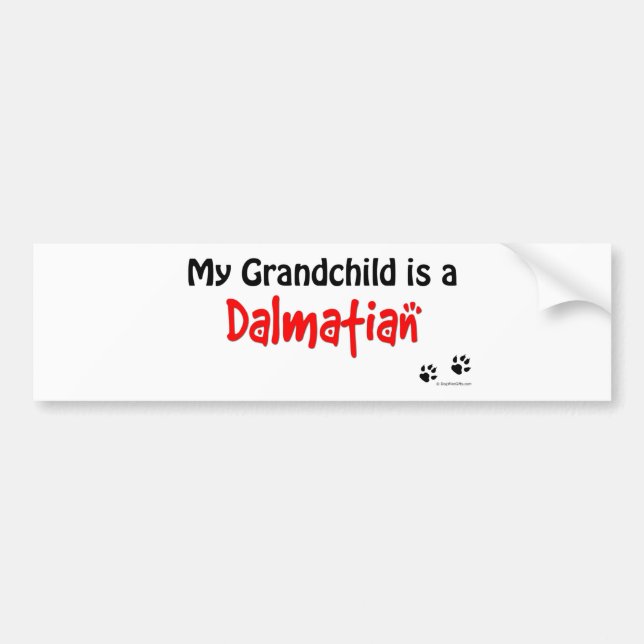 Dalmatian Grandchild Bumper Sticker (Front)