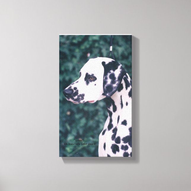 Dalmatian Headstudy -- Grunt Canvas Print (Front)