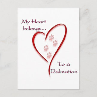 Dalmatian Heart Belongs Postcard