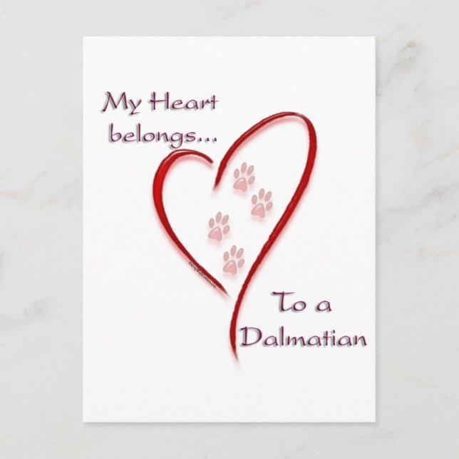 Dalmatian Heart Belongs Postcard (Front)