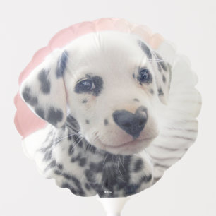 Dalmatian Heart Nose Balloon