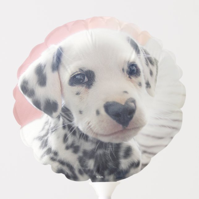 Dalmatian Heart Nose Balloon (Front)