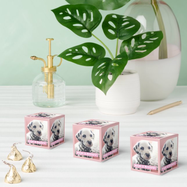 Dalmatian Heart Nose Favor Boxes (Multiple)