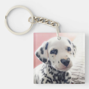 Dalmatian Heart Nose Keychain